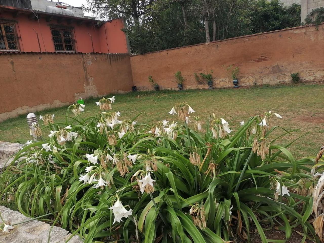 Hotel Tierra Maya San Cristóbal de Las Casas Екстериор снимка